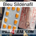 Bleu Sildénafil new13